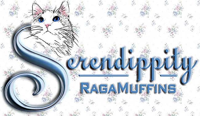 Serendippity RagaMuffins